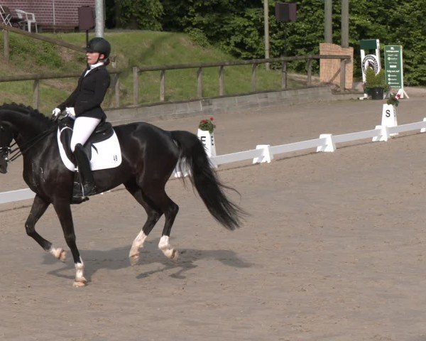 Reitturnier Erkrath - Uhlenhof 2025