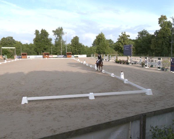 Reitturnier Erkrath - Uhlenhof 2025