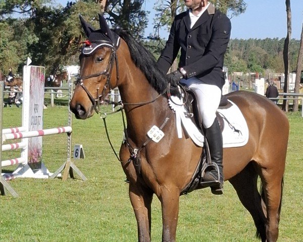 jumper Carbell von Feldheim (German Sport Horse, 2020, from Carinue)