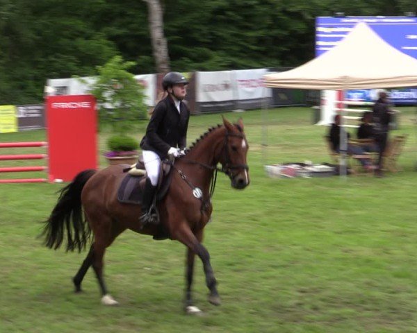 Reitturnier Zeven 2025