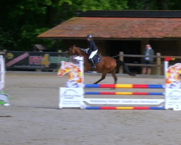 Reitturnier Alvern 2025