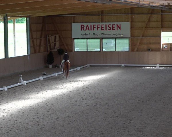 Reitturnier Aadorf 2025