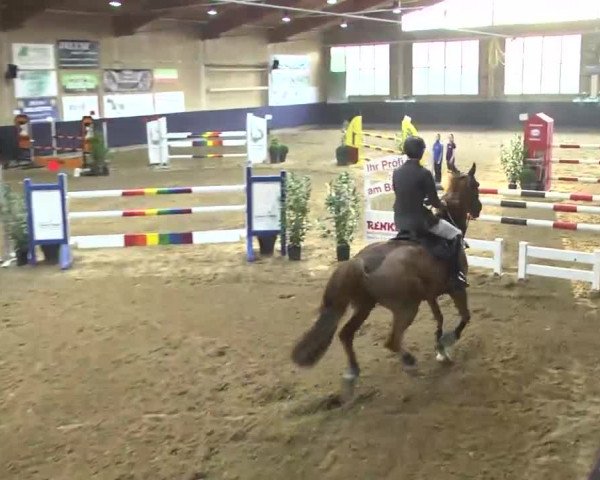 Hallenspringturnier Weilheim/Teck 2014