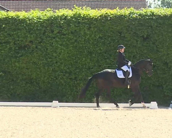 Reitturnier Notzing/Obb. 2025