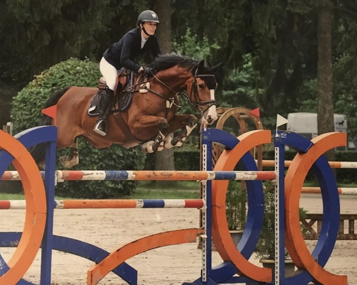 jumper Cascado 8 (Holsteiner, 2006, from Caretino)