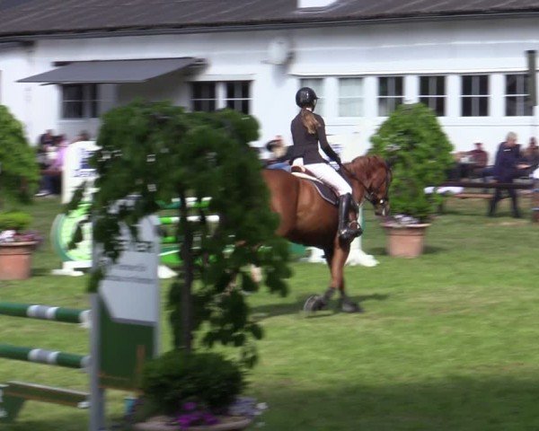 Reitturnier Zeven 2025