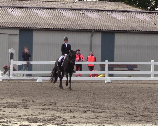 Reitturnier Dressurturnier Mildstedt 2025
