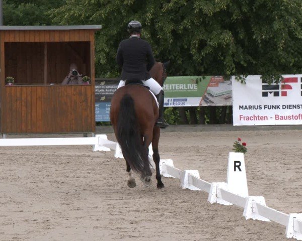Reitturnier Erkrath - Uhlenhof 2025