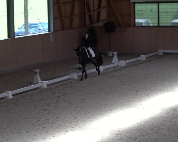 Reitturnier Aadorf 2025