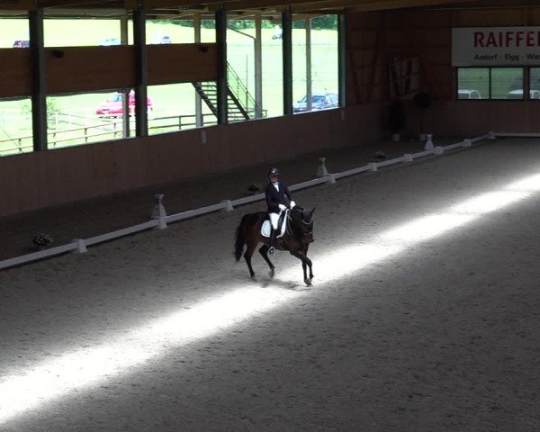 Reitturnier Aadorf 2025
