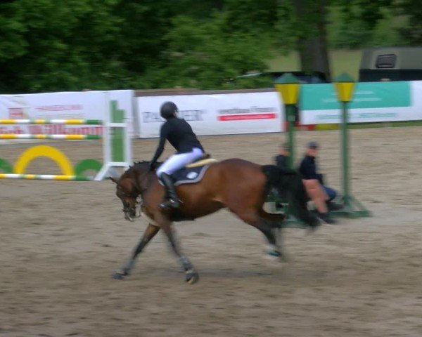 Reitturnier Alvern 2025