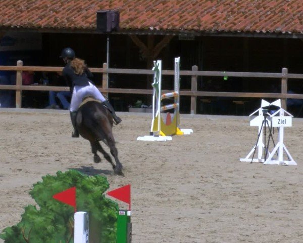 Reitturnier Alvern 2025