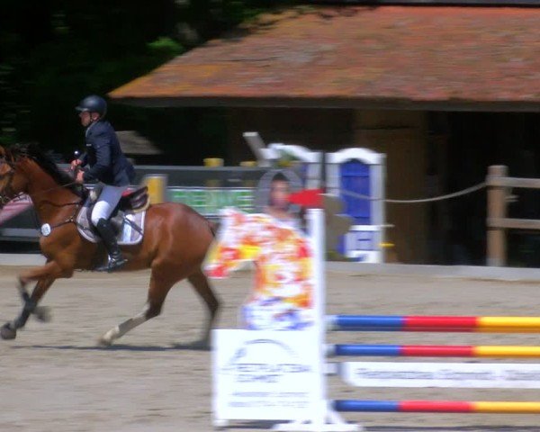 Reitturnier Alvern 2025