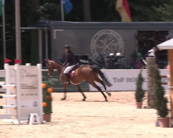 Reitturnier Ranshofen - Braunau am Inn 2025