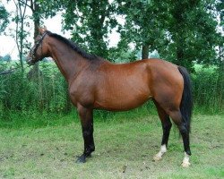 broodmare Larissa (Hanoverian, 2002, from Lancier)