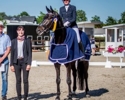 dressage horse Simply Simon 4 (Austrian Warmblood, 2019, from Sandro Hit)