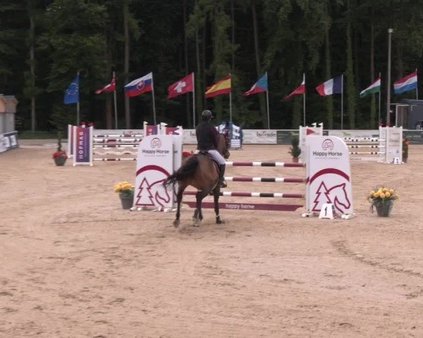 Reitturnier Ranshofen - Braunau am Inn 2025