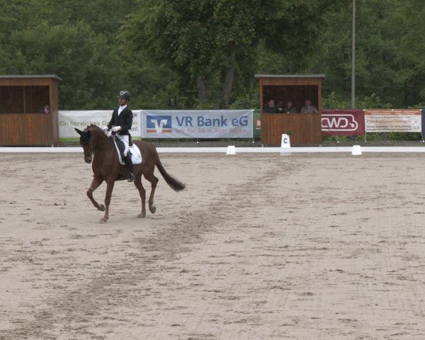Reitturnier Erkrath - Uhlenhof 2025