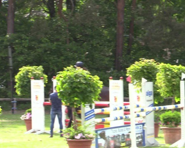 Reitturnier Zeven 2025