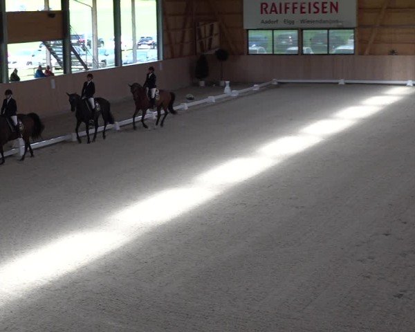 Reitturnier Aadorf 2025
