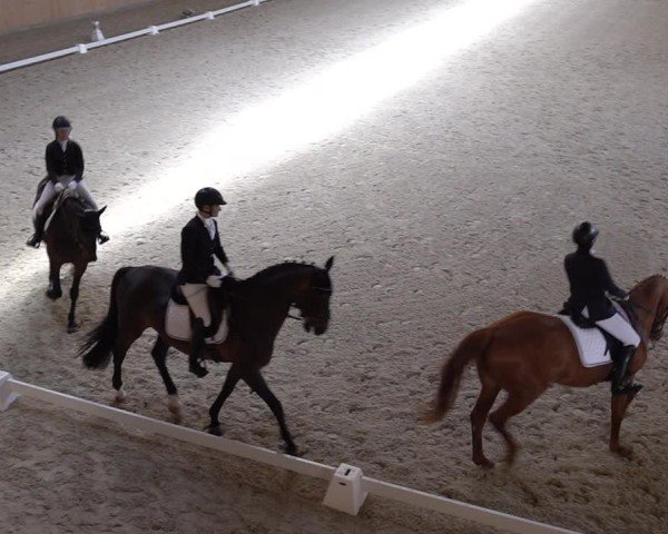 Reitturnier Aadorf 2025