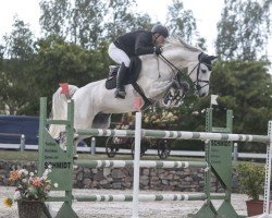 stallion Lugano DS (KWPN (Royal Dutch Sporthorse), 2016, from Cornet Obolensky)