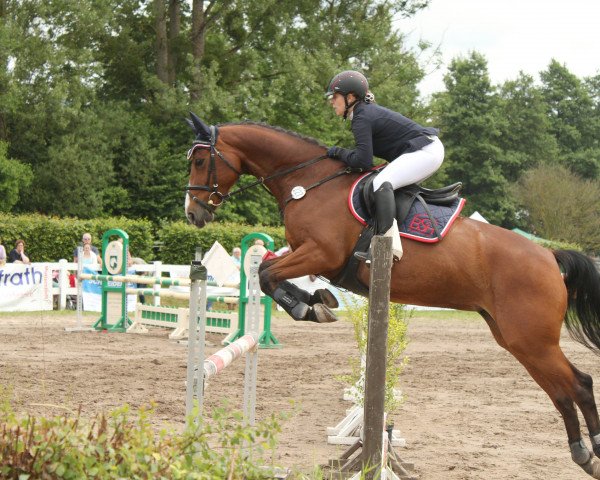 jumper Fierania (KWPN (Royal Dutch Sporthorse), 2010, from Vingino)