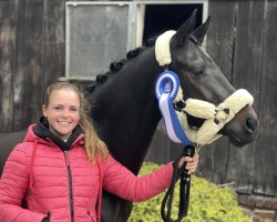 dressage horse Neverfull (German Riding Pony, 2021)