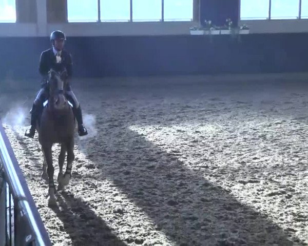 Hallenspringturnier Weilheim/Teck 2014