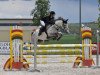 jumper Miss White Chocolate (German Riding Pony, 2013, from Steendieks Mc Laren)