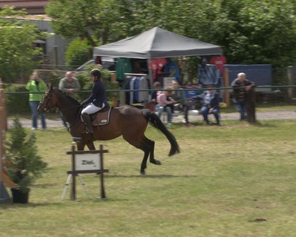 Reitturnier Buckow bei Beeskow (LOS) 2025
