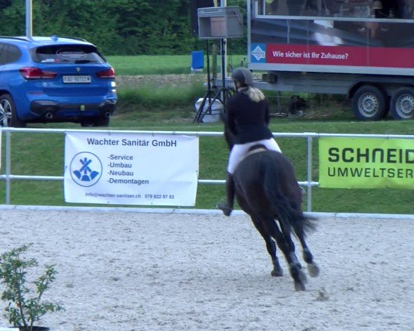 Reitturnier Meilen 2025