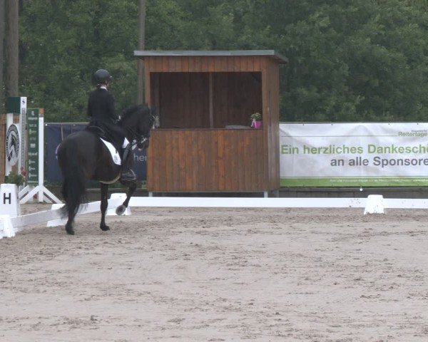 Reitturnier Erkrath - Uhlenhof 2025