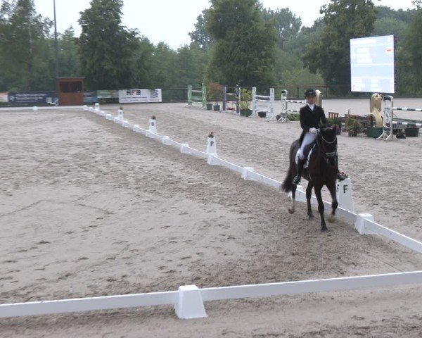 Reitturnier Erkrath - Uhlenhof 2025