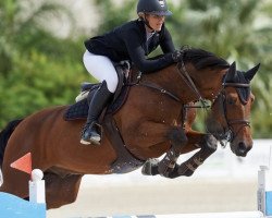 jumper Cayenne 175 (Oldenburg show jumper, 2005, from Cartoon)