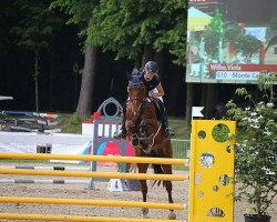 jumper Monte Calido (Hanoverian, 2010, from Monte Bellini)