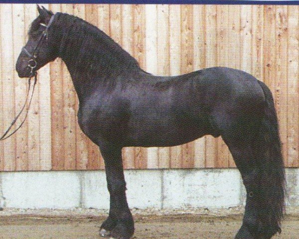 horse Teade fan 'e Wigeri (Friese, 1998, from Tsjerk 328)