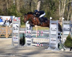 jumper Forro T (German Riding Pony, 2013, from For Next Generation)