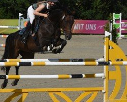 jumper Coconut (Hanoverian, 2017, from Carridam)