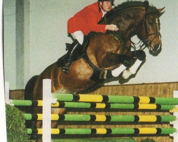 horse C´est la Vie (Holsteiner, 1998, from Capitol I)