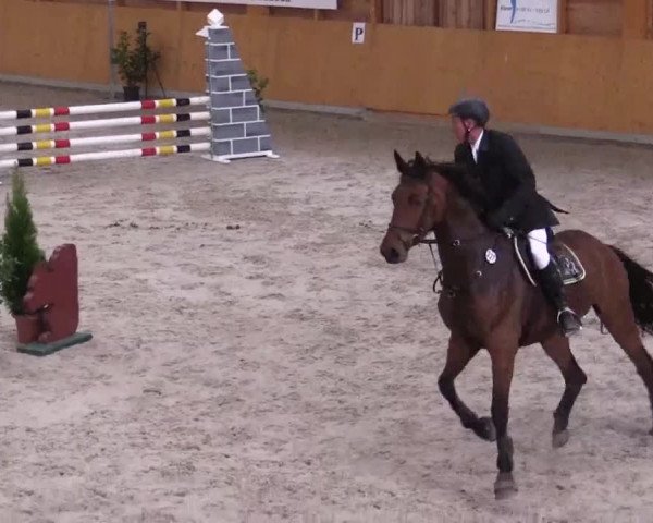 Hallenspringturnier Xanten - Reitanlage Miß 2014