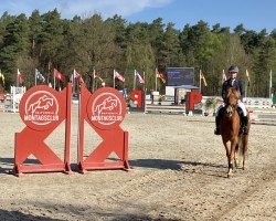 Springpferd Scotch 60 (Deutsches Reitpony, 2020, von Szenario)