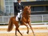 dressage horse Deep Beat Diamond (German Riding Pony, 2010, from Dip Beat)