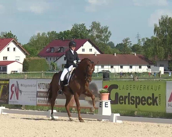 Reitturnier Notzing/Obb. 2025