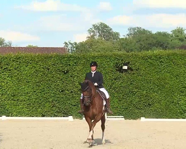 Reitturnier Notzing/Obb. 2025