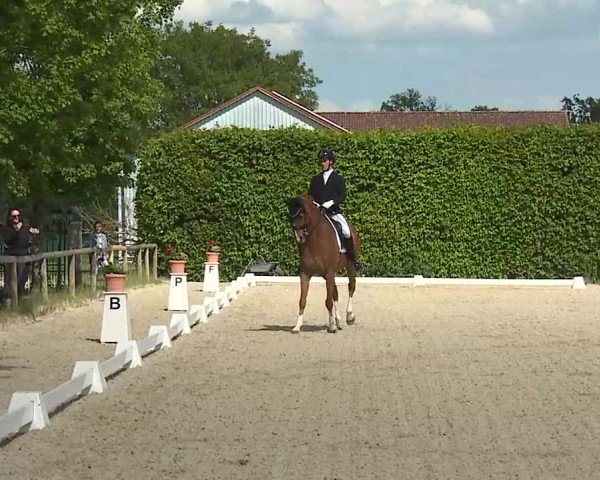 Reitturnier Notzing/Obb. 2025