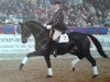 stallion Rosenprinz (Brandenburg, 1996, from Rohdiamant)