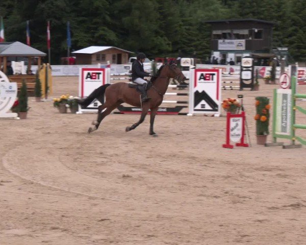 Reitturnier Ranshofen - Braunau am Inn 2025