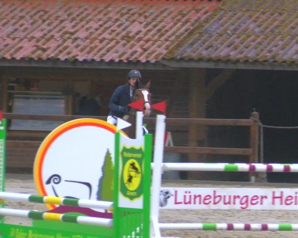 Reitturnier Alvern 2025