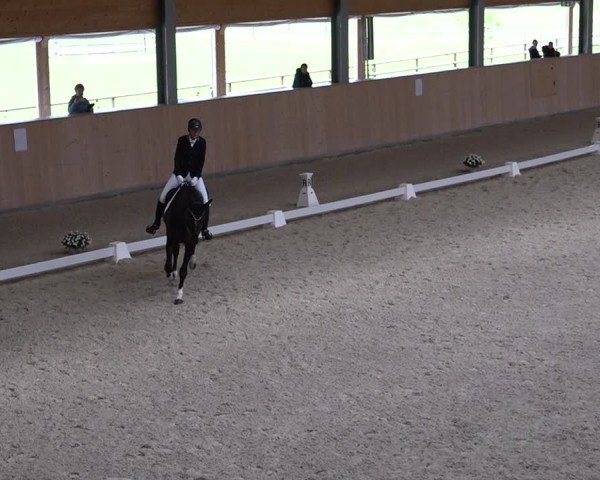 Reitturnier Aadorf 2025